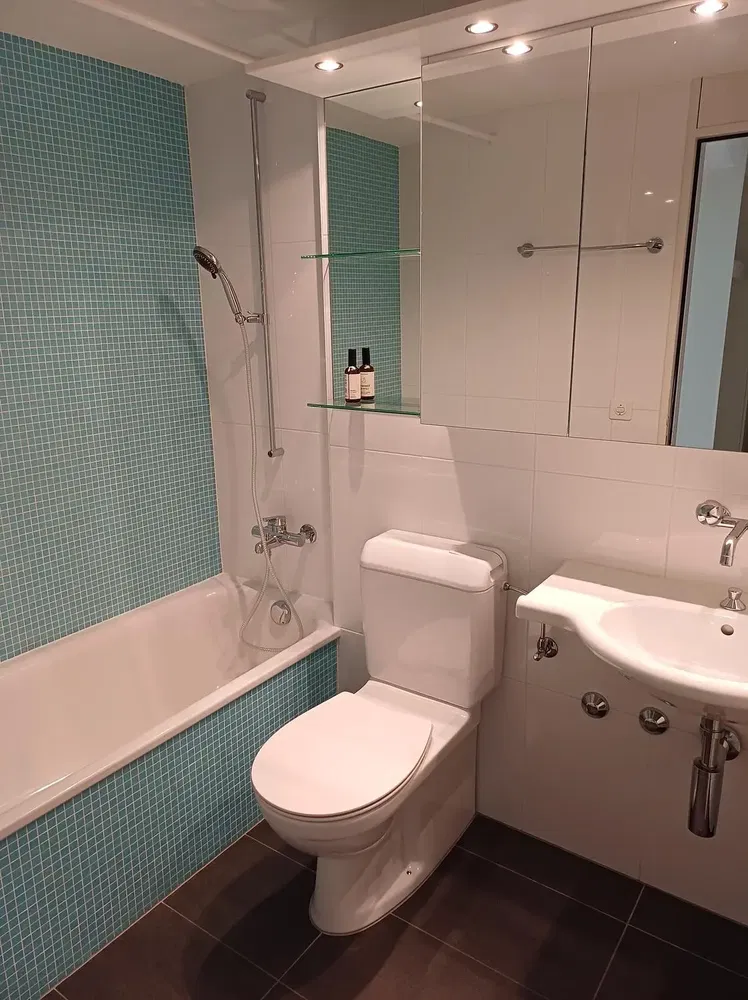 Badezimmer; fliesenboden, fliesenboden