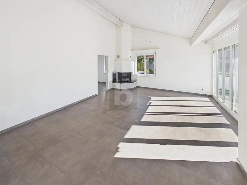 Wohnzimmer; kamin, fliesenboden, tageslicht