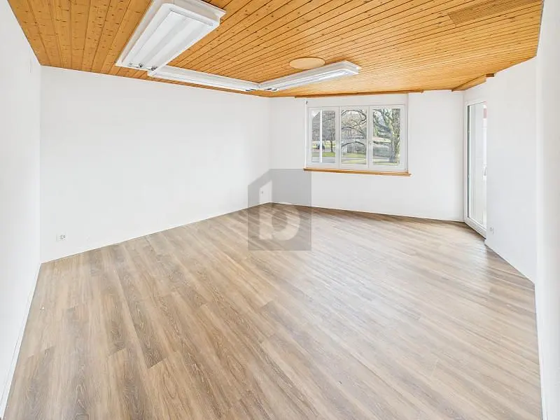 Wohnzimmer; holzboden, tageslicht, moderner stil