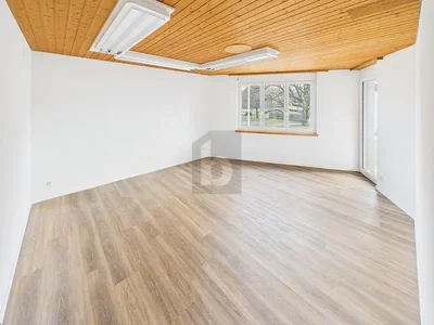 Wohnzimmer; holzboden, tageslicht, moderner stil