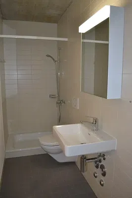 Badezimmer; fliesenboden, renoviert, tageslicht, moderner stil