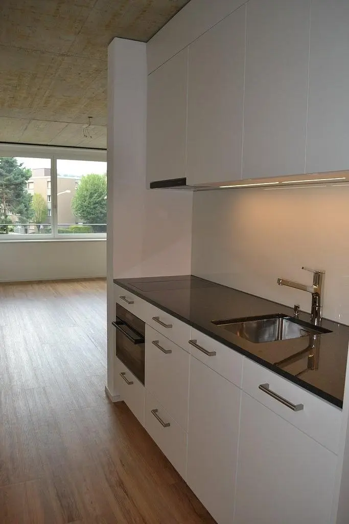 Küche; küchengeräte, blick, holzboden, renoviert, tageslicht