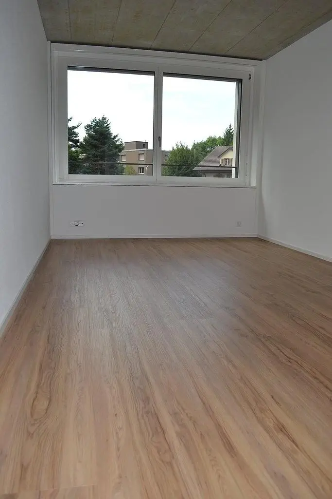 Wohnzimmer; blick, holzboden, tageslicht