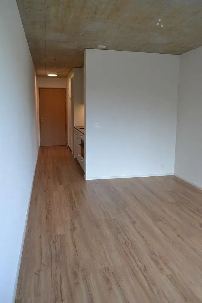 Küche; holzboden, tageslicht