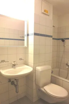 Badezimmer; fliesenboden, tageslicht, renoviert