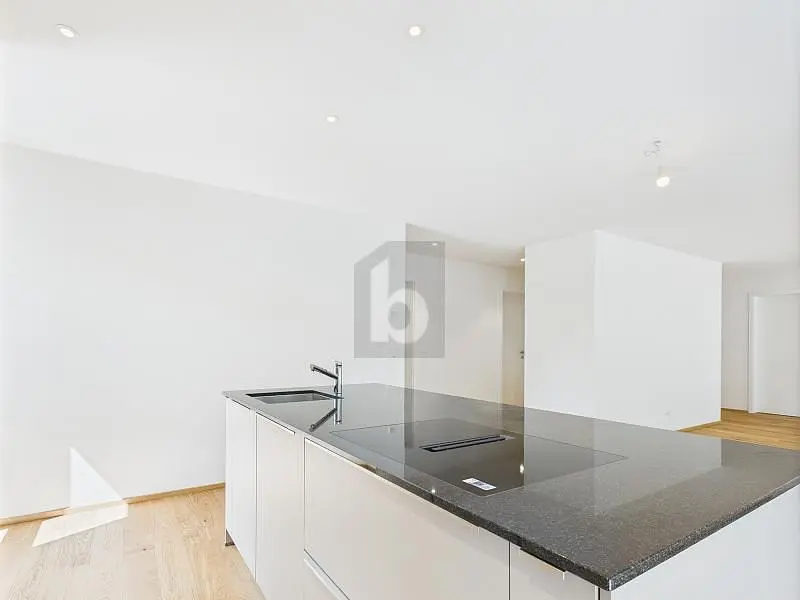 مطبخ; أجهزة المطبخ, أرضية خشبية, ضوء طبيعي