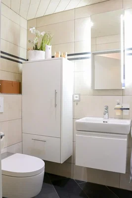 Toilettes; carrelage, rénové, lumière naturelle