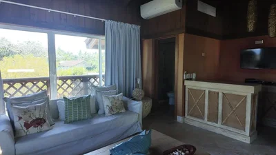 Living room; view, natural light, rustic style