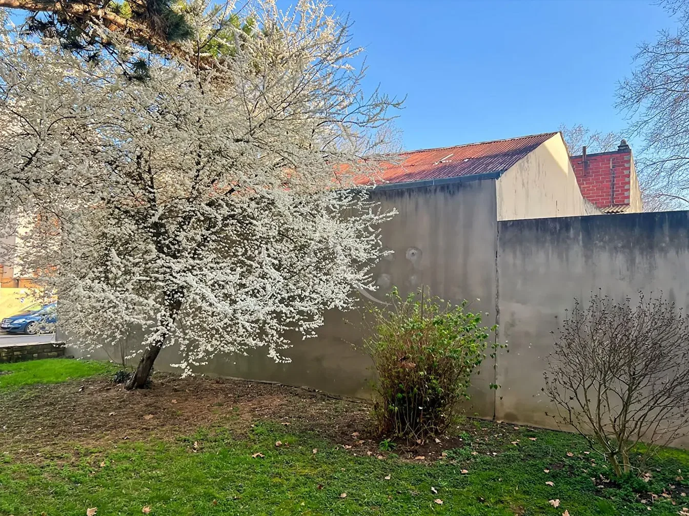 Dům a okolí; výhled, přirozené světlo