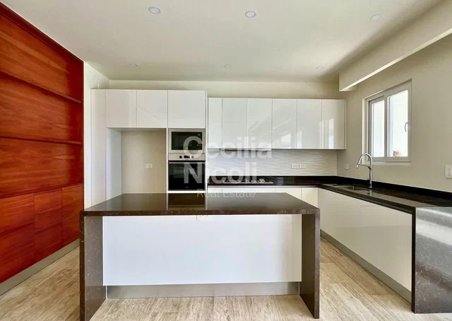 Кухиња; кухињски апарати, природно светло, модерни стил