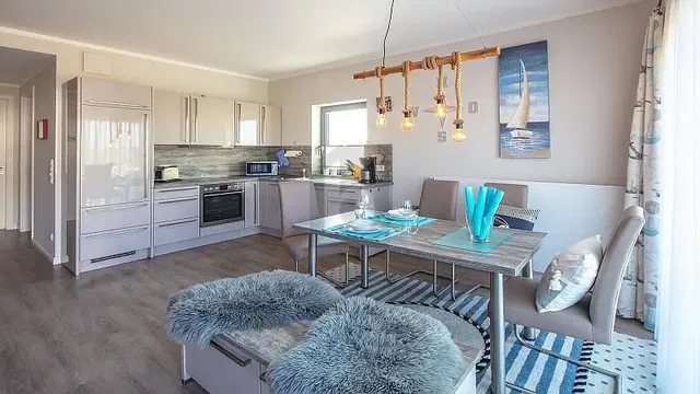 Kuhinja; kuhinjski aparati, prirodno svjetlo, moderni stil