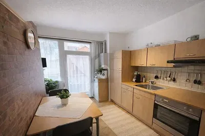 Kuhinja; kuhinjski aparati, prirodno svjetlo, moderni stil