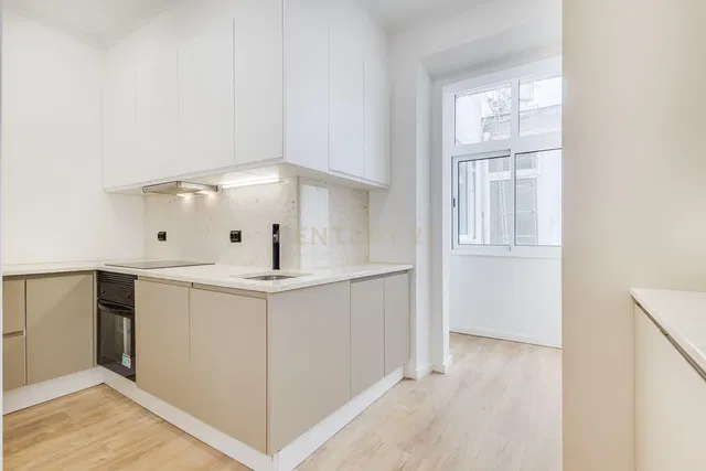 Cuisine; électroménager, lumière naturelle, style moderne, rénové