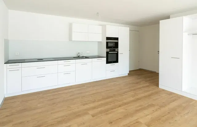 Kuchyně; kuchyňské spotřebiče, přirozené světlo, moderní styl