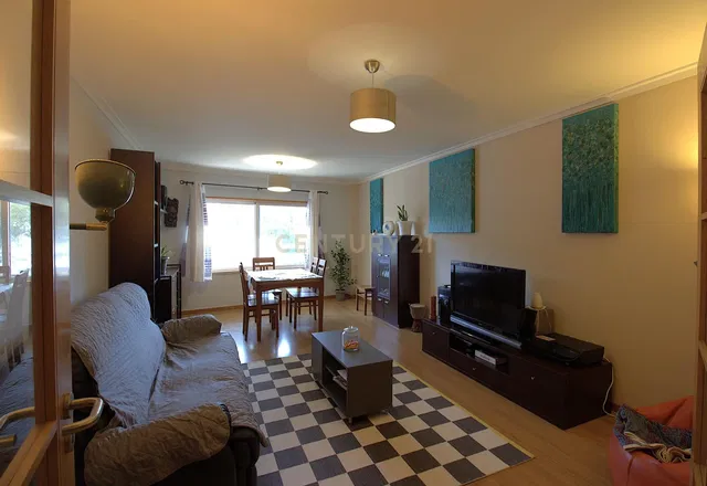 Salon; lumière naturelle, style moderne