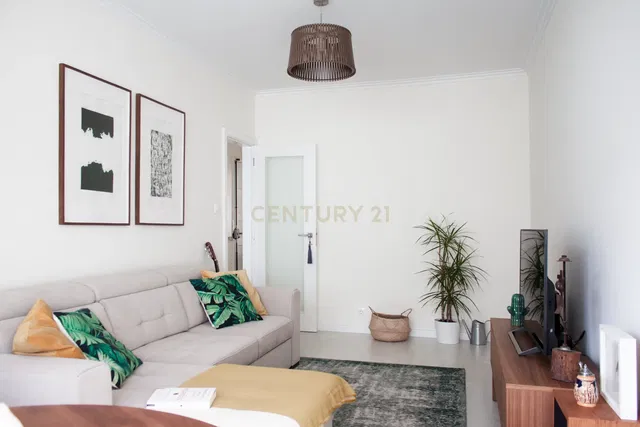 Salon; lumière naturelle, style moderne