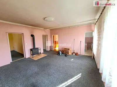 Wohnzimmer; kamin, renovierungsbedürftig, tageslicht