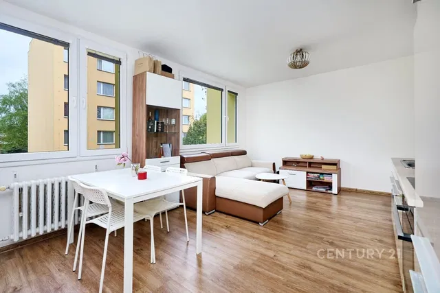 Dnevni boravak; pogled, prirodna svjetlost