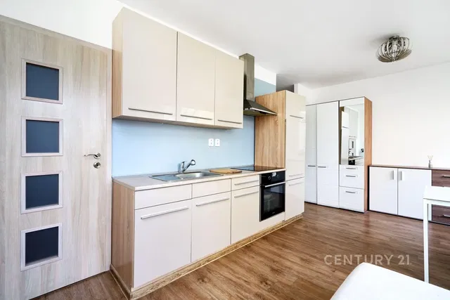 Kuhinja; kućanski aparati, renoviran, prirodna svjetlost