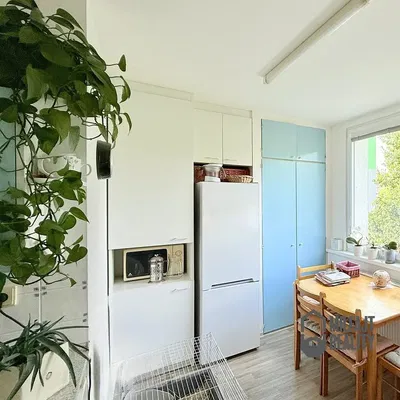 Küche; tageslicht, moderner stil