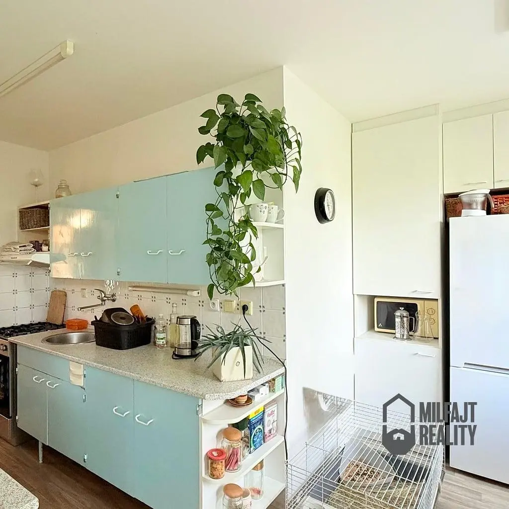 Küche; küchengeräte, tageslicht