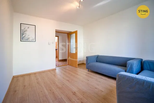 Salon; parquet, lumière naturelle