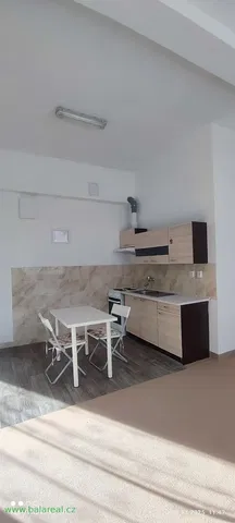 Kuchyně; kuchyňské spotřebiče, dlažba, dřevěná podlaha, přirozené světlo