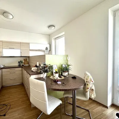 Kuchyně; kuchyňské spotřebiče, přirozené světlo, moderní styl