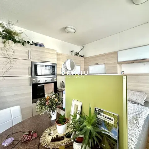 Cuisine; électroménager, lumière naturelle, style moderne