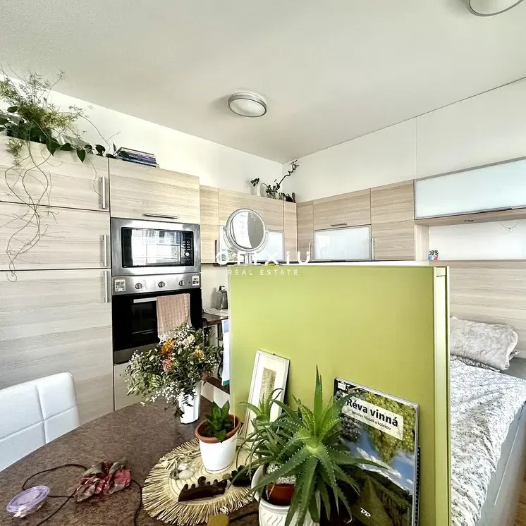 Kuchyně; kuchyňské spotřebiče, přirozené světlo, moderní styl