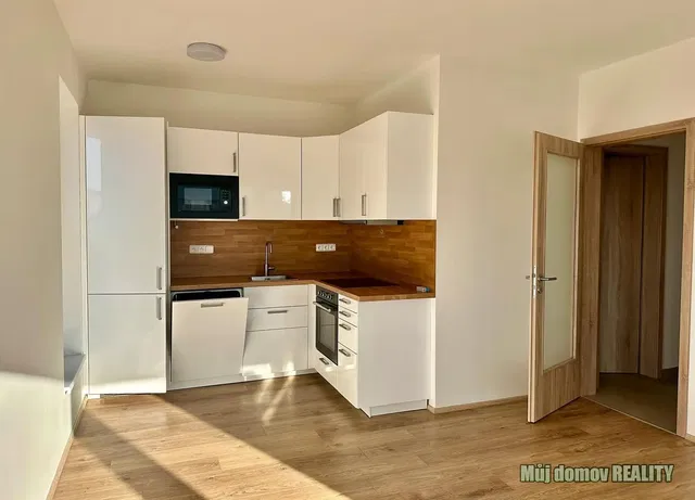 Kuchyňa; kuchynské spotrebiče, prirodzené svetlo, moderný štýl