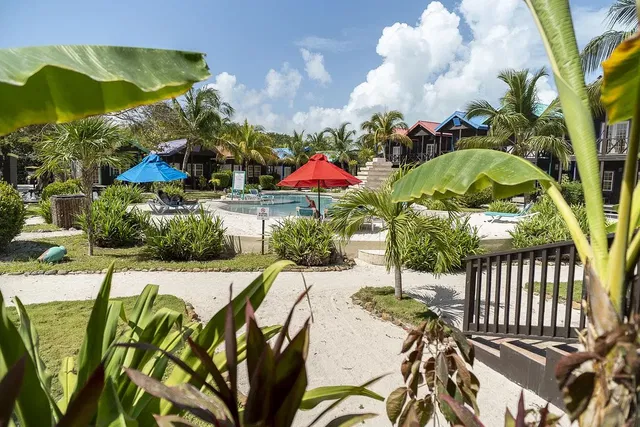 Ev ve çevresi; manzara, doğal ışık