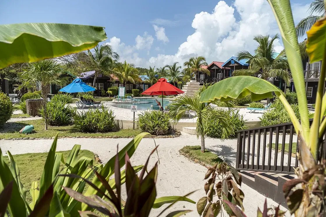 Ev ve çevresi; manzara, doğal ışık