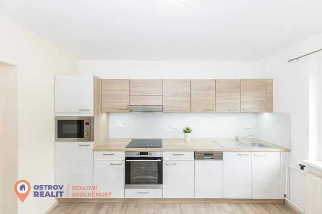 Küche; küchengeräte, renoviert, tageslicht, moderner stil
