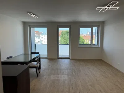 Wohnzimmer; blick, tageslicht, holzboden, renoviert