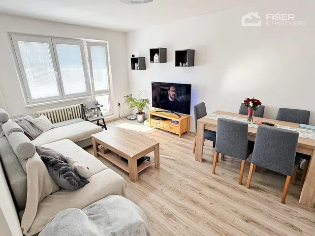 Wohnzimmer; tageslicht, moderner stil