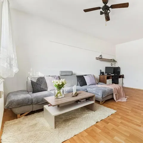 Salon; lumière naturelle, style moderne