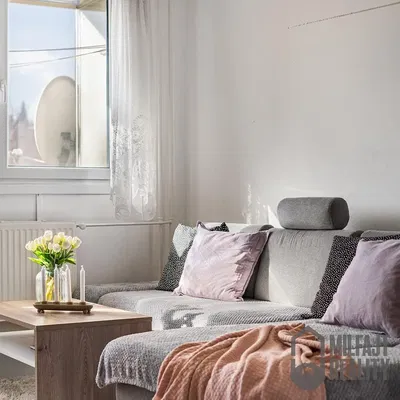 Salon; lumière naturelle, style moderne