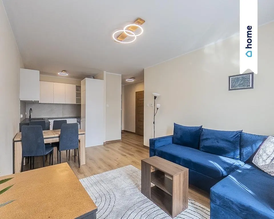 Dnevni boravak; prirodna svjetlost, moderan stil