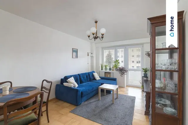 Salon; lumière naturelle, style moderne