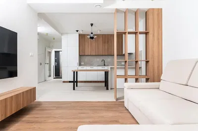 Salon; style moderne, parquet, lumière naturelle, électroménager