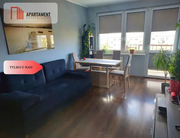 Salon; parquet, lumière naturelle, style moderne