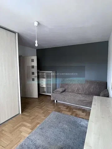 Wohnzimmer; holzboden, tageslicht