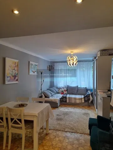 Wohnzimmer; tageslicht, moderner stil