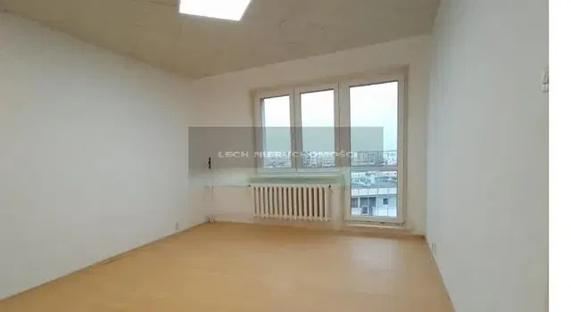 Wohnzimmer; blick, tageslicht