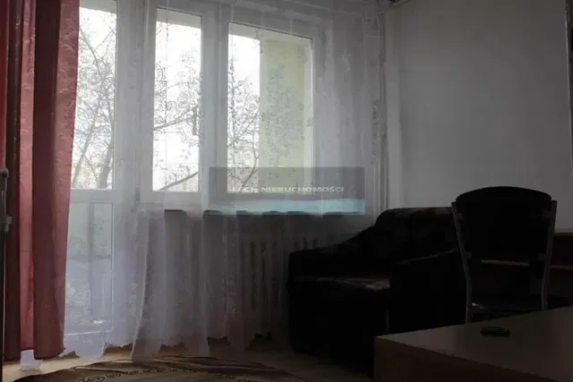 Wohnzimmer; blick, tageslicht