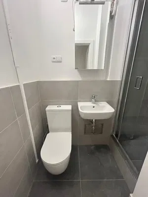 Toilette; fliesenboden, tageslicht