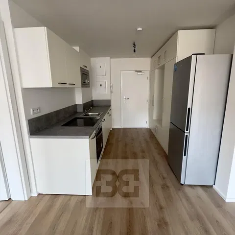 Küche; küchengeräte, tageslicht