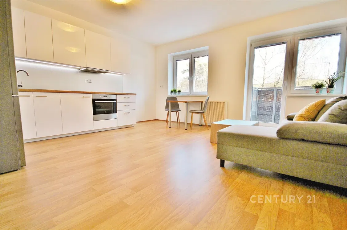 Wohnzimmer; küchengeräte, tageslicht, moderner stil