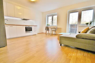 Woonkamer; keukenapparatuur, natuurlijk licht, moderne stijl